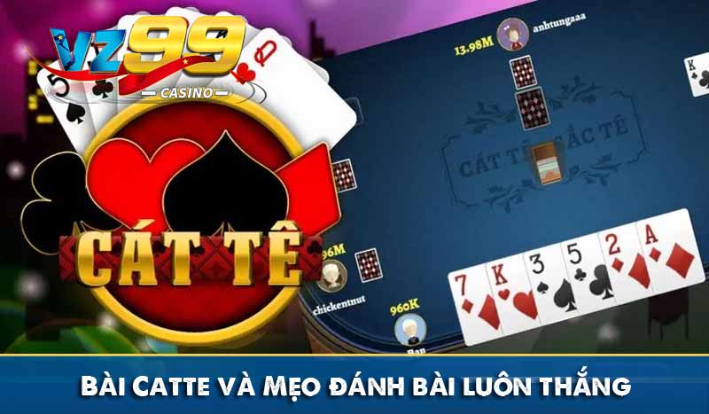 Bài Catte và Mẹo đánh bài luôn thắng ai cũng làm được 15 bài catte và mẹo chơi bài luôn thắng