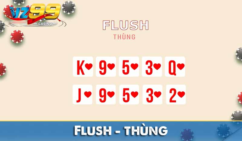 Flush – Thùng