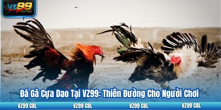 Đá Gà Cựa Dao Tại VZ99: Thiên Đường Cho Người Chơi 16 Đá Gà Cựa Dao Tại VZ99: Thiên Đường Cho Người Chơi