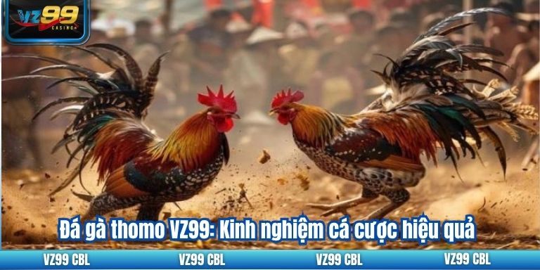 Đá gà thomo VZ99: Kinh nghiệm cá cược hiệu quả 18 Đá gà thomo VZ99: Kinh nghiệm cá cược hiệu quả
