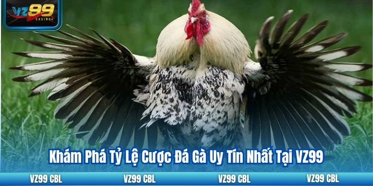 Khám Phá Tỷ Lệ Cược Đá Gà Uy Tín Nhất Tại VZ99 14 Khám Phá Tỷ Lệ Cược Đá Gà Uy Tín Nhất Tại VZ99