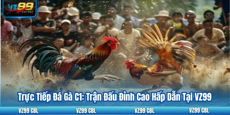 Trực Tiếp Đá Gà C1: Trận Đấu Đỉnh Cao Hấp Dẫn Tại VZ99 13 Trực Tiếp Đá Gà C1: Trận Đấu Đỉnh Cao Hấp Dẫn Tại VZ99