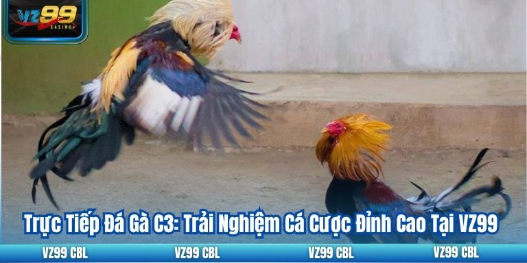 Trực Tiếp Đá Gà C3: Trải Nghiệm Cá Cược Đỉnh Cao Tại VZ99 17 Trực Tiếp Đá Gà C3: Trải Nghiệm Cá Cược Đỉnh Cao Tại VZ99
