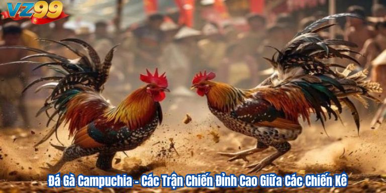 Đá Gà Campuchia VZ99 – Các Trận Chiến Đỉnh Cao Giữa Các Chiến Kê 1 Đá Gà Campuchia – Các Trận Chiến Đỉnh Cao Giữa Các Chiến Kê